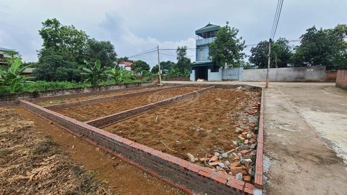 Một khu đất phân lô ở Hoà Lạc.